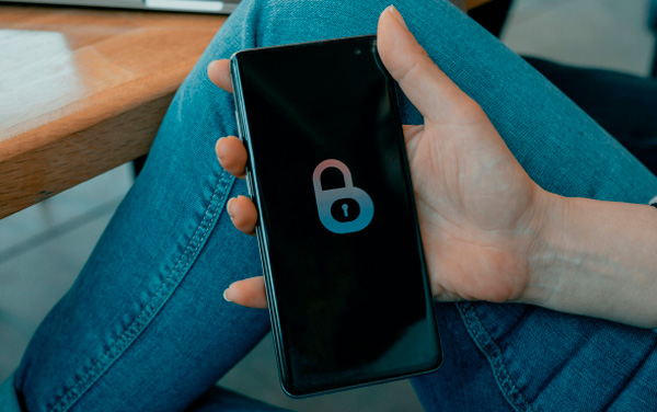 Datos Personales y Privacidad