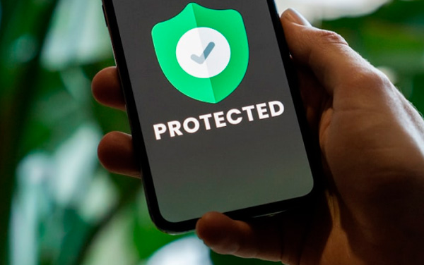 Protección de Datos Personales