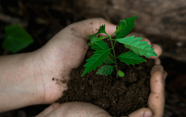 Consumo Sostenible Consumo Sostenible