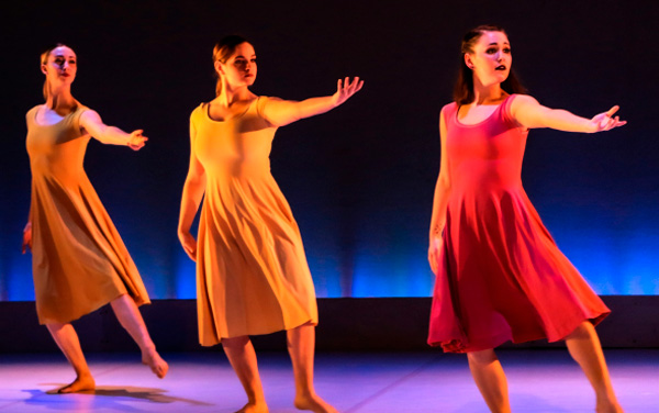 Estatuto del Artista